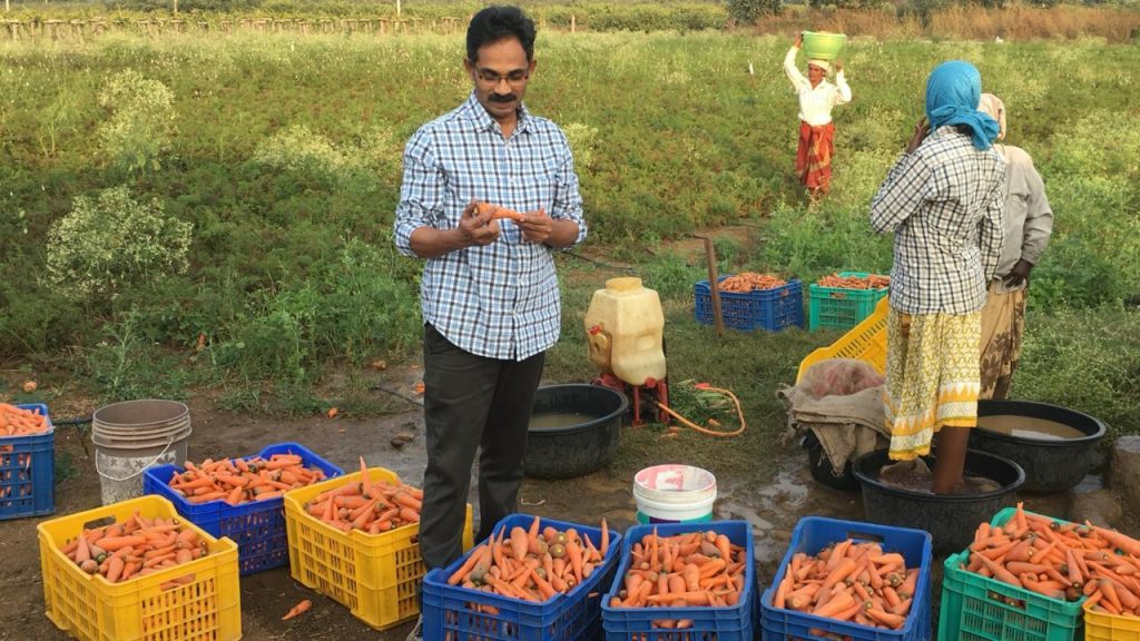 Life in green farmland
