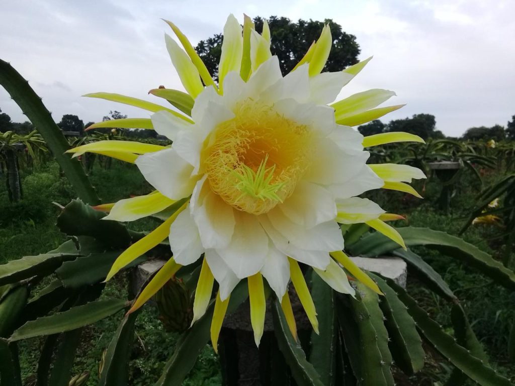 whatsapp image 2026 03 28 at 1.53.50 pm (1)