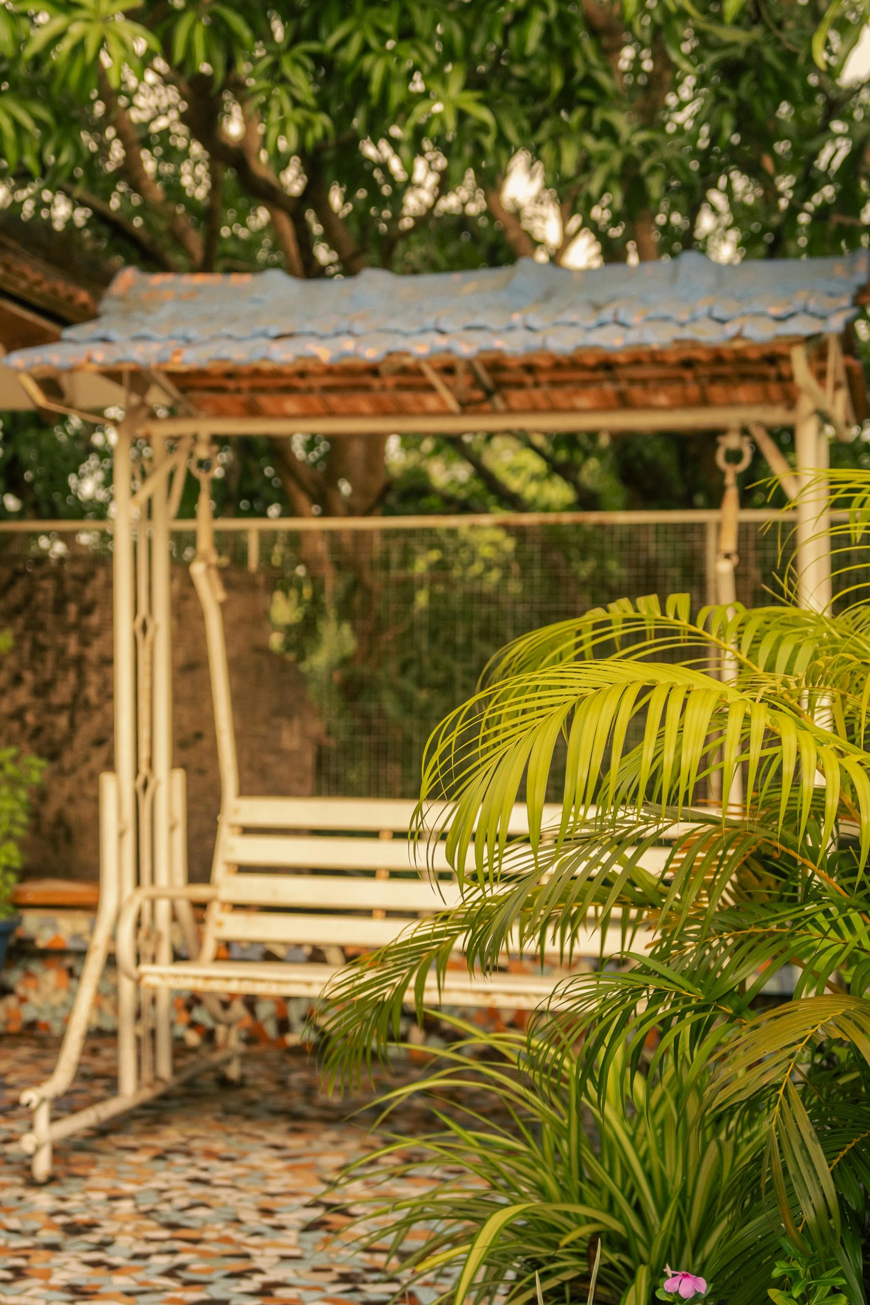 Pexels Abeysaksham 31774129 Scaled